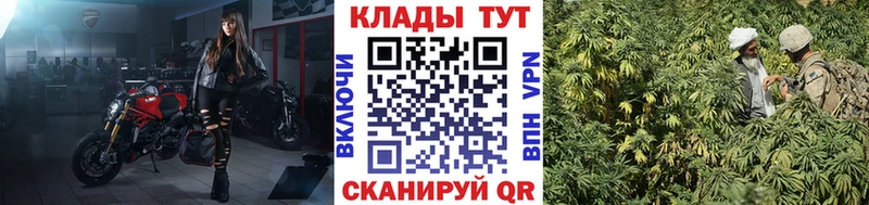 Как найти закладки Пушкино Альфа ПВП  Мефедрон  Гашиш  МАРИХУАНА  Кокаин 